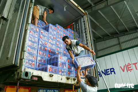 Vải thiều Lục Ngạn tất bật du ngoạn Trung Quốc - Ảnh 7. Vải thiều Lục Ngạn tất bật du ngoạn Trung Quốc - Ảnh 7.