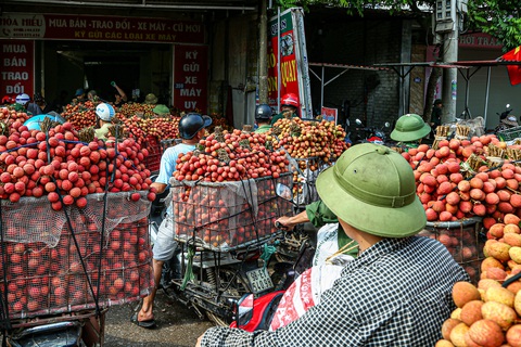 Tại một điểm cân vải tại thị trấn Chũ, huyện Lục Ngạn, những người nông dân kiên nhẫn xếp hàng chờ tới lượt vào cân vải. Tại mỗi điểm thu mua, người bán được phát phiếu, kèm theo giá bán. Theo ông Nguyễn Thế Thi, Phó chủ tịch UBND huyện Lục Ngjan, giá vải thiều dao động từ 17.000 - 33.000 đồng/kg. Tính đến này, số lượng vải thiều tiêu thụ đạt gần 40.000 tấn - Ảnh: HÀ QUÂN Vải thiều tại một điểm thu mua ở thị trấn Chũ, huyện Lục Ngạn (tỉnh Bắc Giang) - Ảnh: HÀ QUÂN