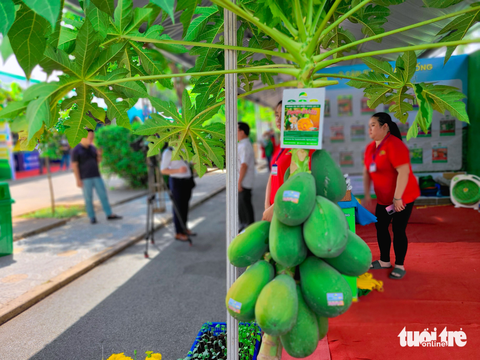 ‘Săn’ giống cây lạ tại Hội chợ triển lãm giống, nông nghiệp công nghệ cao 2023 - Ảnh 4. ‘Săn’ giống cây lạ tại Hội chợ triển lãm giống, nông nghiệp công nghệ cao 2023 - Ảnh 4.