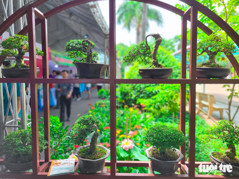 ‘Săn’ giống cây lạ tại Hội chợ triển lãm giống, nông nghiệp công nghệ cao 2023 - Ảnh 6. ‘Săn’ giống cây lạ tại Hội chợ triển lãm giống, nông nghiệp công nghệ cao 2023 - Ảnh 6.