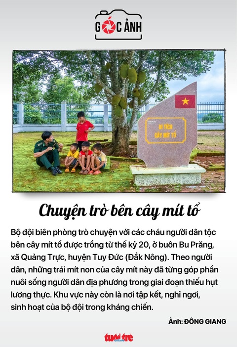 Tin tức sáng 22-6: Cắt điện phải báo trước; Cảnh báo tin nhắn lừa trúng tuyển lớp 10 - Ảnh 10. Tin tức sáng 22-6: Cắt điện phải báo trước; Cảnh báo tin nhắn lừa trúng tuyển lớp 10 - Ảnh 10.