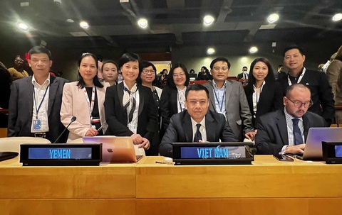 Chiến thắng lịch sử cho đa dạng sinh học biển - Ảnh 3. Đoàn liên ngành Việt Nam tham dự hội nghị thông qua BBNJ ngày 19-6 - Ảnh: Phái đoàn Việt Nam tại Liên Hiệp Quốc