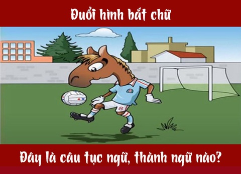 Câu tục ngữ, thành ngữ khó nhằn này là gì? (P37) - Ảnh 1. Câu tục ngữ, thành ngữ khó nhằn này là gì? (P37) - Ảnh 1.