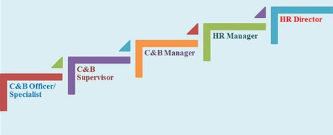 C&B là gì? Nhân Viên C&B có vai trò gì trong doanh nghiệp? (Phần 2) - Ảnh 2. Lộ trình thăng tiến của nhân viên C&B – Ảnh: Internet