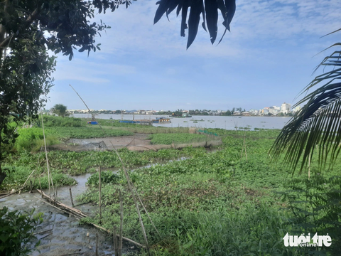 Dân phản ứng nên dự án chỉnh trị dòng chảy sông Hậu 'đứng hình' - Ảnh 2. Bờ xã Phú Bình cặp sông Hậu đang bồi lắng rất nhiều. Còn bờ đối diện là quốc lộ 91 liên tục sạt lở do dòng sông áp sát bờ - Ảnh: MINH KHANG