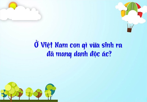 Câu đố hack não: Cái gì trên cơ thể phụ nữ càng nhiều thì càng sang? - Ảnh 10.