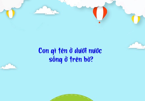 Câu đố hack não: Cái gì trên cơ thể phụ nữ càng nhiều thì càng sang? - Ảnh 4. Câu đố hack não: Cái gì trên cơ thể phụ nữ càng nhiều thì càng sang? - Ảnh 4.
