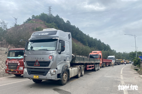 Người dân mang con trẻ chặn xe tải ra vào cảng biển quốc tế - Ảnh 2. Xe tải xếp hàng dài không thể vào cảng - Ảnh: DOÃN HÒA