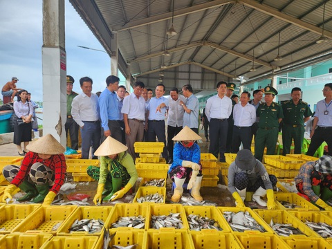 Ngư dân Kiên Giang cần nâng cao nhận thức trong khai thác thủy sản - Ảnh 1. Ngư dân Kiên Giang cần nâng cao nhận thức trong khai thác thủy sản - Ảnh 1.