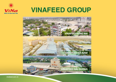 Vinafeed Group ra mắt dòng sản phẩm cao cấp mới cho heo - Ảnh 2. Vinafeed Group ra mắt dòng sản phẩm cao cấp mới cho heo - Ảnh 2.