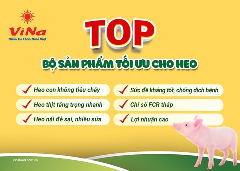 Vinafeed Group ra mắt dòng sản phẩm cao cấp mới cho heo - Ảnh 3. Vinafeed Group ra mắt dòng sản phẩm cao cấp mới cho heo - Ảnh 3.