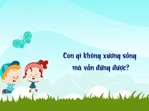 Câu đố hack não: Cái gì dưới mông nhưng tên gọi là cha thiên hạ? - Ảnh 4. Câu đố hack não: Cái gì dưới mông nhưng tên gọi là cha thiên hạ? - Ảnh 4.