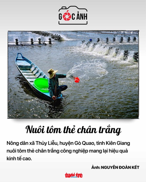 Tin tức sáng 29-6: Xuất nhập khẩu Việt - Trung hơn 12 tỉ USD/tháng - Ảnh 12. Tin tức sáng 29-6: Xuất nhập khẩu Việt - Trung hơn 12 tỉ USD/tháng - Ảnh 12.