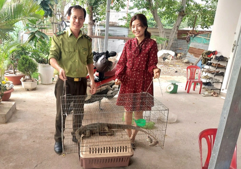 Người dân ở TP.HCM bắt được kỳ đà vân quý hiếm nặng 3kg - Ảnh 1. Người dân ở TP.HCM bắt được kỳ đà vân quý hiếm nặng 3kg - Ảnh 1.