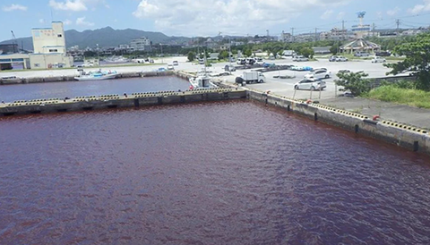 Nhật Bản: nước biển chuyển đỏ do rò rỉ chất phụ gia từ nhà máy - Ảnh 1. Nhật Bản: nước biển chuyển đỏ do rò rỉ chất phụ gia từ nhà máy - Ảnh 1.