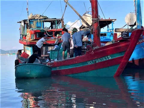 Ngư dân trúng đậm mẻ cá chim vàng, thu hơn 600 triệu đồng sau một đêm ra khơi - Ảnh 1. Ngư dân trúng đậm mẻ cá chim vàng, thu hơn 600 triệu đồng sau một đêm ra khơi - Ảnh 1.