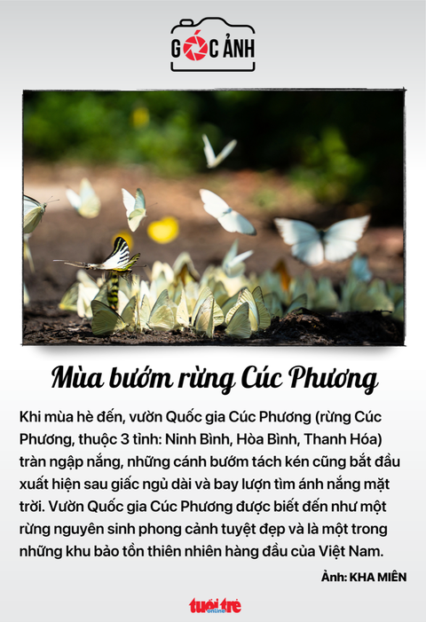 Tin tức sáng 30-6: Từ 1-9, cấm ngân hàng cho vay mua vàng, đảo nợ, gửi tiết kiệm - Ảnh 6. Tin tức sáng 30-6: Từ 1-9, cấm ngân hàng cho vay mua vàng, đảo nợ, gửi tiết kiệm - Ảnh 6.
