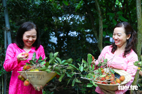 Hè về đất thép Củ Chi thưởng thức hoa thơm trái ngọt - Ảnh 5. Hè về đất thép Củ Chi thưởng thức hoa thơm trái ngọt - Ảnh 5.