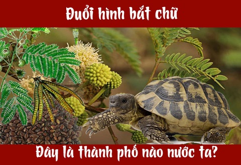 IQ cao có đoán được đây là thành phố nào của nước ta? - Ảnh 4. IQ cao có đoán được đây là thành phố nào của nước ta? - Ảnh 4.