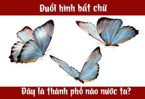 IQ cao có đoán được đây là thành phố nào của nước ta? - Ảnh 1. IQ cao có đoán được đây là thành phố nào của nước ta? - Ảnh 1.