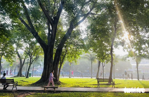 Nghiên cứu mới: Sống gần cây cối giúp con người trẻ hơn - Ảnh 1. Nghiên cứu mới: Sống gần cây cối giúp con người trẻ hơn - Ảnh 1.