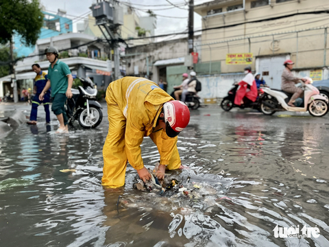 Rác đầy miệng cống, mưa không ngập đường mới lạ - Ảnh 6. Rác đầy miệng cống, mưa không ngập đường mới lạ - Ảnh 6.