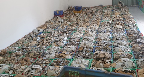 Gần 66.000 hiện vật ở Cà Mau không có nơi trưng bày, xếp chồng trong kho - Ảnh 1. Gần 66.000 hiện vật ở Cà Mau không có nơi trưng bày, xếp chồng trong kho - Ảnh 1.