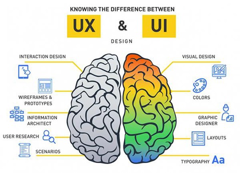 UI/UX Designer là nghề gì? Những tố chất cần thiết để làm UI/UX Designer (Phần 1) - Ảnh 4. Sự khác nhau của UI Designer và UX Designer - Ảnh: Internet.