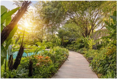 Lời mời gọi rong chơi mùa hè - Ảnh 2. An Lâm Retreats Saigon River được biết đến như "khu vườn nhiệt đới" nằm trong lòng thành phố, tách biệt với những ồn ào phố thị nhờ không gian yên bình và những mảng xanh tự nhiên