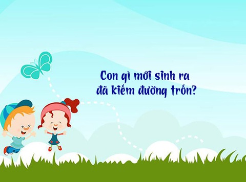 Đố vui: Con gì mới sinh ra đã kiếm đường trốn? - Ảnh 1. Đố vui: Con gì mới sinh ra đã kiếm đường trốn? - Ảnh 1.