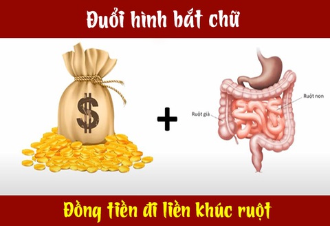 Câu tục ngữ, thành ngữ khó nhằn này là gì? (P28) - Ảnh 6. Câu tục ngữ, thành ngữ khó nhằn này là gì? (P28) - Ảnh 6.