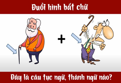 Câu tục ngữ, thành ngữ khó nhằn này là gì? (P28) - Ảnh 7. Câu tục ngữ, thành ngữ khó nhằn này là gì? (P28) - Ảnh 7.