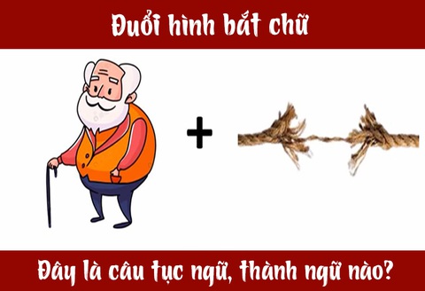 Câu tục ngữ, thành ngữ khó nhằn này là gì? (P27) - Ảnh 1. Câu tục ngữ, thành ngữ khó nhằn này là gì? (P27) - Ảnh 1.