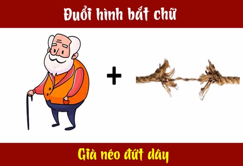 Câu tục ngữ, thành ngữ khó nhằn này là gì? (P27) - Ảnh 3. Câu tục ngữ, thành ngữ khó nhằn này là gì? (P27) - Ảnh 3.