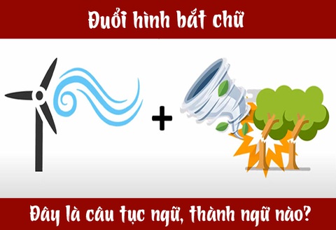 Câu tục ngữ, thành ngữ khó nhằn này là gì? (P27) - Ảnh 7. Câu tục ngữ, thành ngữ khó nhằn này là gì? (P27) - Ảnh 7.