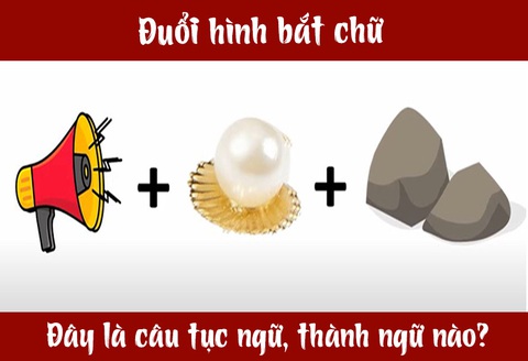 Câu tục ngữ, thành ngữ khó nhằn này là gì? (P28) - Ảnh 1. Câu tục ngữ, thành ngữ khó nhằn này là gì? (P28) - Ảnh 1.