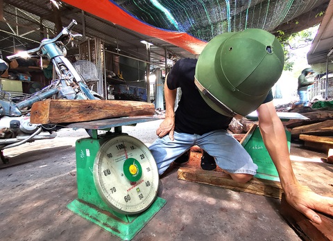 Đi săn củi tiền tỉ - Ảnh 3. Đi săn củi tiền tỉ - Ảnh 3.