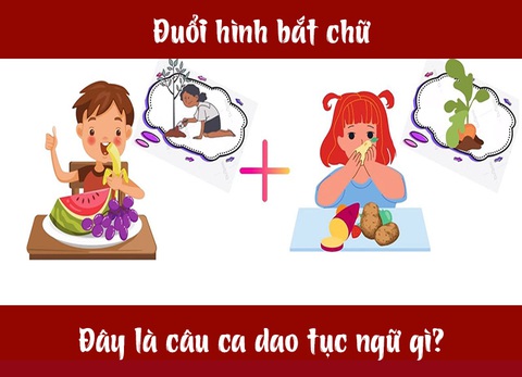 Câu ca dao, tục ngữ hóc búa này là gì? (P2) - Ảnh 1. Câu ca dao, tục ngữ hóc búa này là gì? (P2) - Ảnh 1.