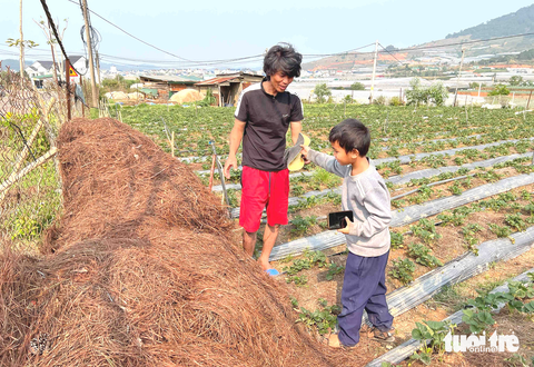 Nghề chi mà lạ rứa trời - Kỳ 6: Cào lá thông khô... kiếm tiền - Ảnh 3. Nghề chi mà lạ rứa trời - Kỳ 6: Cào lá thông khô... kiếm tiền - Ảnh 3.