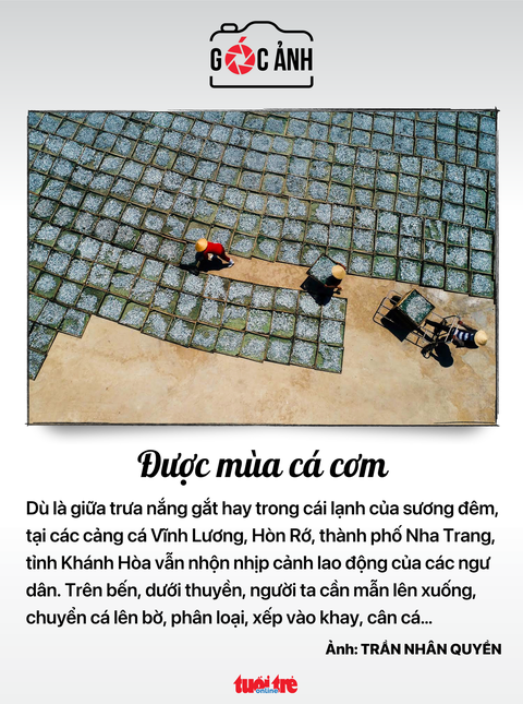 Tin tức sáng 6-6: Quốc hội bắt đầu chất vấn 4 bộ trưởng; Hàng không săn phi công, tiếp viên - Ảnh 8. Tin tức sáng 6-6: Quốc hội bắt đầu chất vấn 4 bộ trưởng; Hàng không săn phi công, tiếp viên - Ảnh 8.