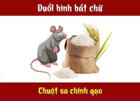 Câu tục ngữ, thành ngữ khó nhằn này là gì? (P29) - Ảnh 3.