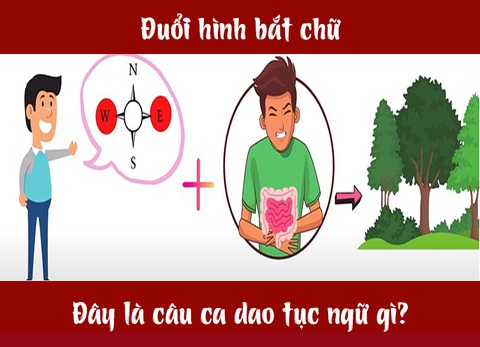 Câu ca dao, tục ngữ hóc búa này là gì? (P3) - Ảnh 4. Câu ca dao, tục ngữ hóc búa này là gì? (P3) - Ảnh 4.