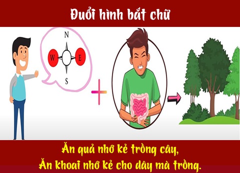 Câu ca dao, tục ngữ hóc búa này là gì? (P3) - Ảnh 6.
