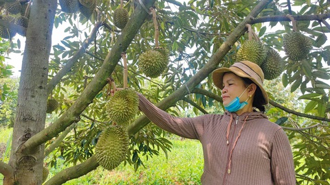 Tin tức sáng 7-6: Người Việt Nam lạc quan nhất châu Á về tương lai kinh tế - Ảnh 2. Tin tức sáng 7-6: Người Việt Nam lạc quan nhất châu Á về tương lai kinh tế - Ảnh 2.