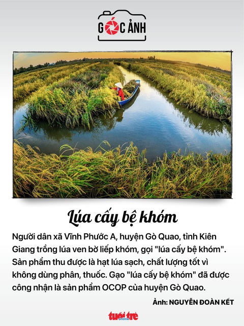 Tin tức sáng 8-6: Tăng phí thi sát hạch lái xe; Ngày 20-6 có điểm thi lớp 10 TP.HCM - Ảnh 11. Tin tức sáng 8-6: Tăng phí thi sát hạch lái xe; Ngày 20-6 có điểm thi lớp 10 TP.HCM - Ảnh 11.