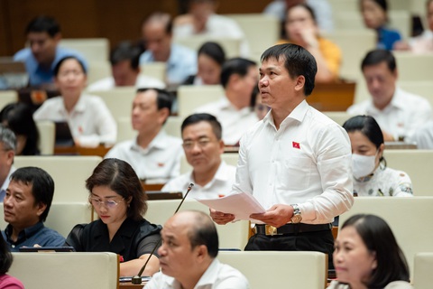 Cơ chế đột phá, cần phân quyền mạnh hơn cho TP.HCM - Ảnh 3. Đại biểu Dương Khắc Mai (Đắk Nông) phát biểu - Ảnh: GIA HÂN