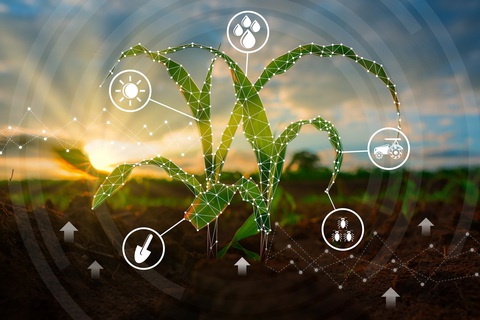 TTC AgriS thúc đẩy xu hướng thực phẩm Plant-based - Ảnh 2. Kiên định trên hành trình hơn 50 năm phát triển bền vững, TTC AgriS thúc đẩy xu hướng thực phẩm Plant-based, toàn diện chuỗi giá trị dinh dưỡng, hướng đến sức khỏe người tiêu dùng và giảm thiểu tác động đến môi trường cũng như cộng đồng - Ảnh: D.K