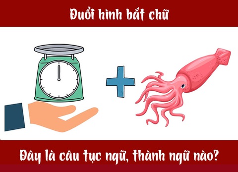 Câu tục ngữ, thành ngữ khó nhằn này là gì? (P31) - Ảnh 1. Câu tục ngữ, thành ngữ khó nhằn này là gì? (P31) - Ảnh 1.