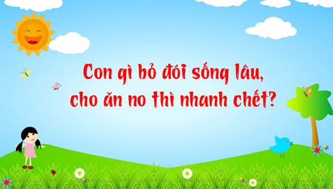 Câu đố hack não: Con gì bỏ đói sống lâu, ăn no thì chết? - Ảnh 1. Câu đố hack não: Con gì bỏ đói sống lâu, ăn no thì chết? - Ảnh 1.