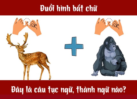 Câu tục ngữ, thành ngữ 'khó nhằn' này là gì? (P30) - Ảnh 1. Câu tục ngữ, thành ngữ 'khó nhằn' này là gì? (P30) - Ảnh 1.